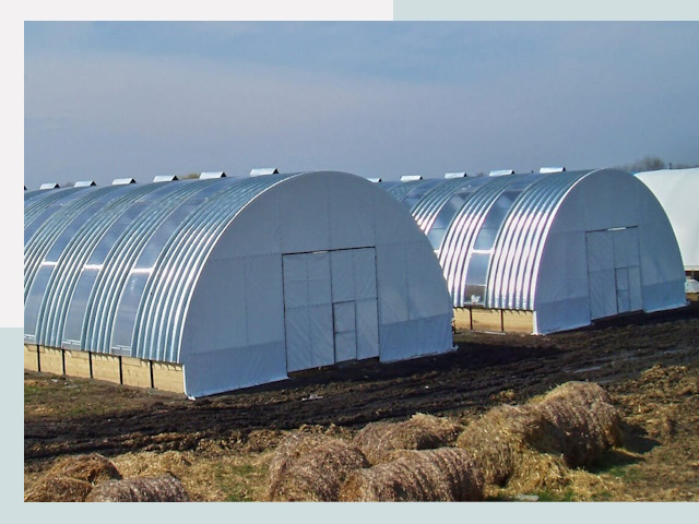 Сельскохозяйственные здания в Выборге