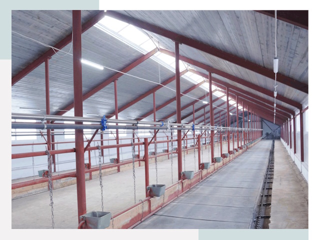 Строительство коровников в Выборге от 613 руб.