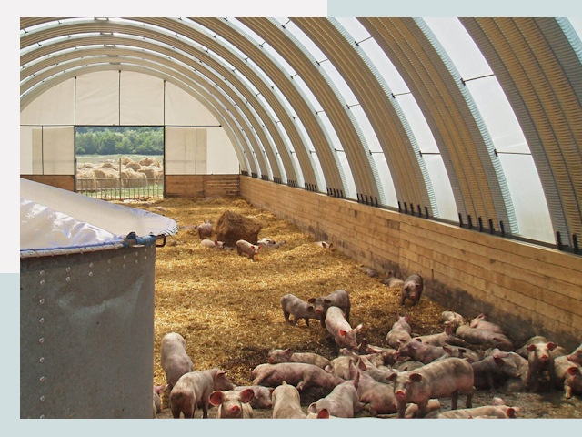 Строительство свинарников в Выборге