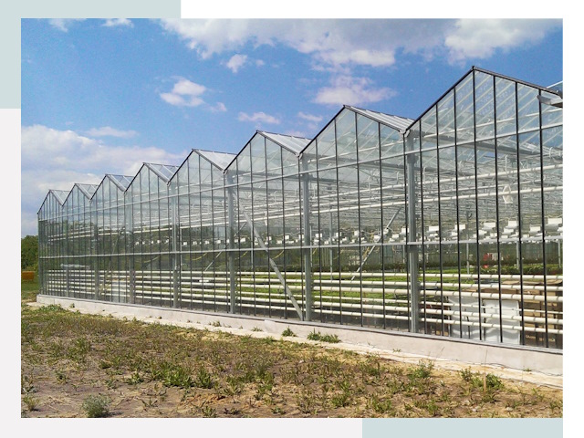 Строительство теплиц в Выборг от 613 руб. за м²