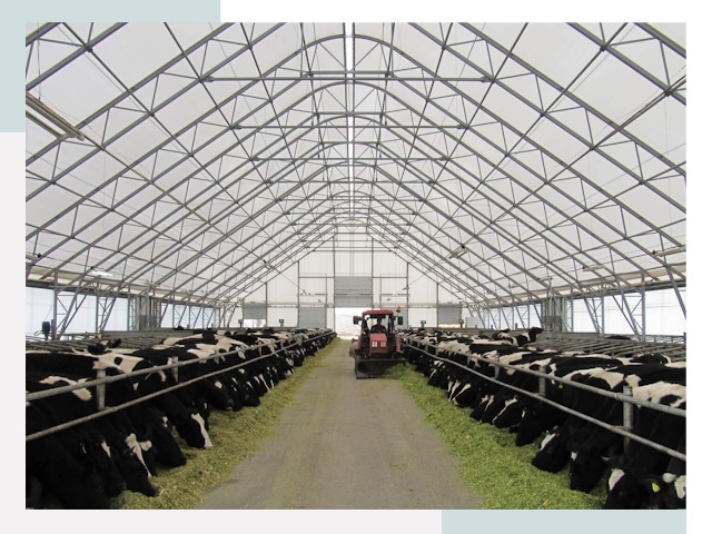 Тентовые коровники в Выборге от 613 руб. - Надежно и доступно